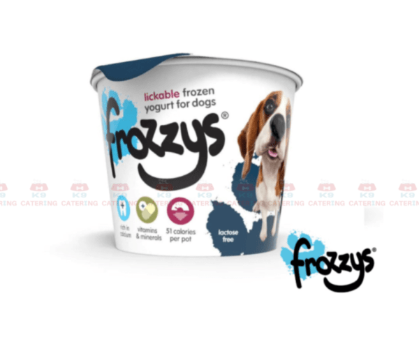 Frozzys Blueberry Frozen Yogurt