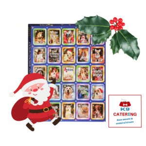 Christmas Advent Treat Calendar