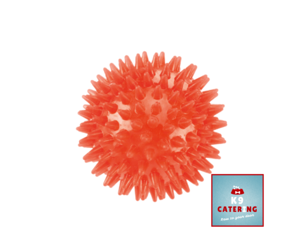 Flex Squeaky Ball (9 cm)