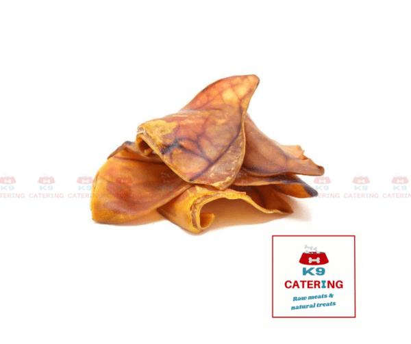 Treats - Dried Pigs Ear 10 pack