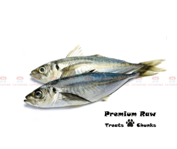 Premium Raw Mackerel (1kg)