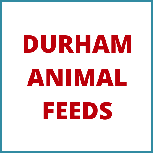 web cat DAF Durham Animal Feeds Brand Logo