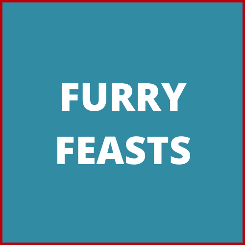 web cat FURRY FEASTS Furry Feasts