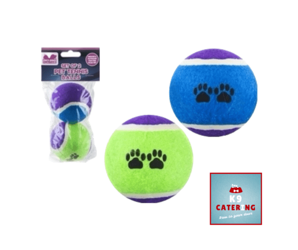 Set of two Tennis Balls