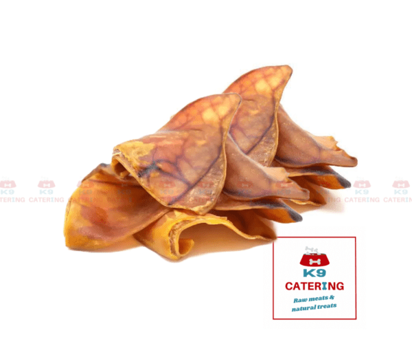 Treats - Dried Pigs Ear (25 pack)