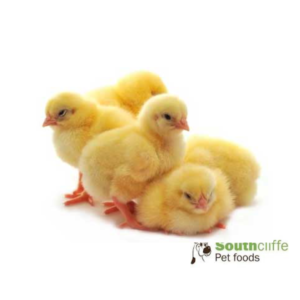 Southcliffe Day Old Chicks (1 kg)