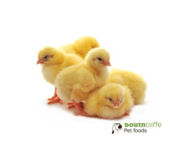 Southcliffe Day Old Chicks (1 kg)