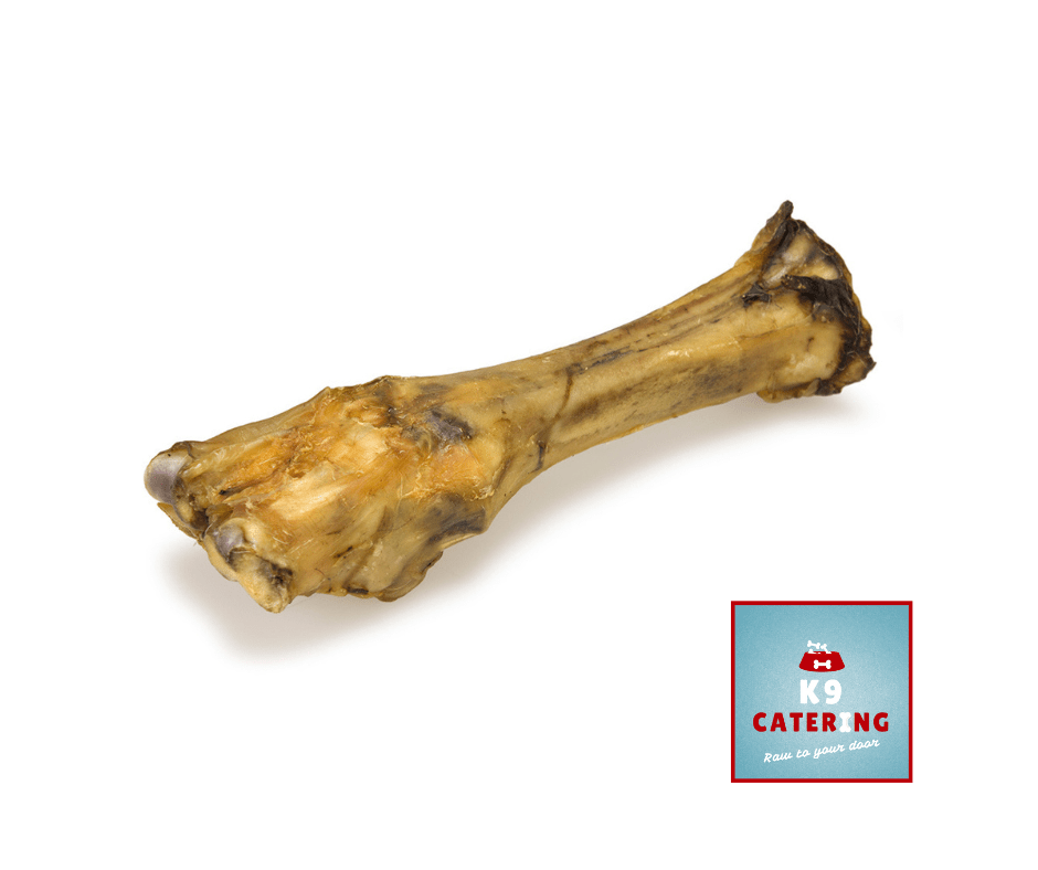 Dried Beef Leg Bone K9Catering