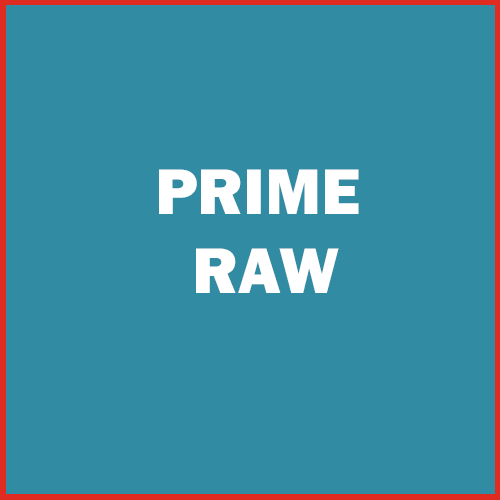K9 Prime Raw pet product icon (blue)