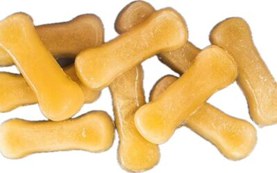 The Remarkable Benefits of Bone Broth for Dogs