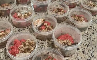 Can I defrost and refreeze my dogs food?
