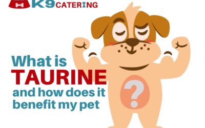 What is Taurine?