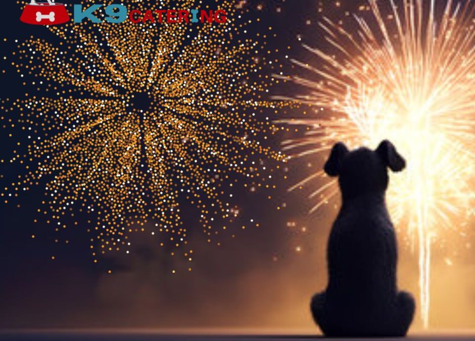 How to help your dog during Fireworks