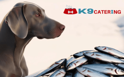 Fish: A Nutritious Boost for Raw Fed Dogs