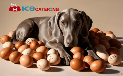 Eggs: A Nutritional Powerhouse for Raw Fed Dogs