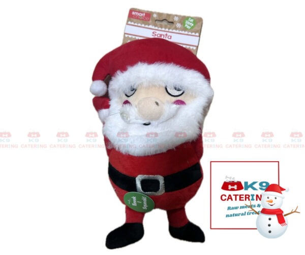 Plush Santa