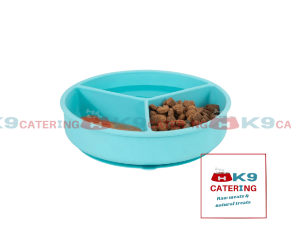 Slow Feeder Bowl & Lick Bowl