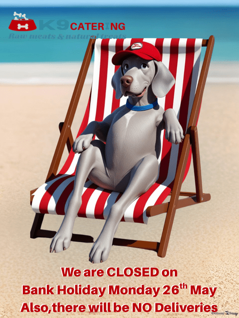 Canva Design (6) 2025 - Easter Opening
