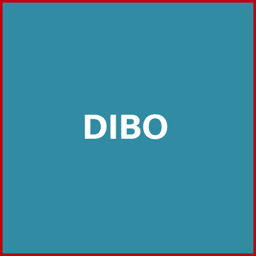 DIBO Logo