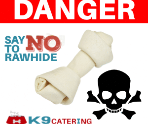 The Hidden Dangers of Rawhide Treats for Dogs