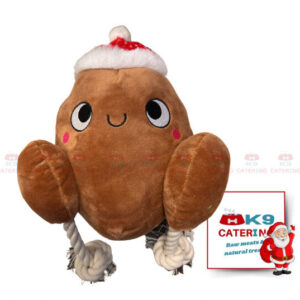 Christmas Trevor Turkey
