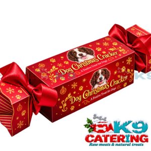 Christmas Cracker for dogs with turkey treats